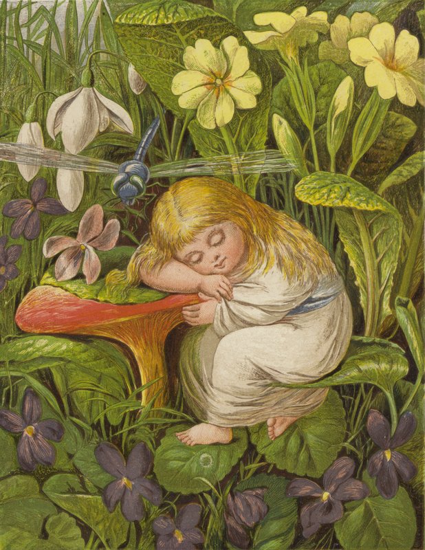 But He Was Only Sunk in a Dream of Delight by Eleanor Fortescue Brickdale