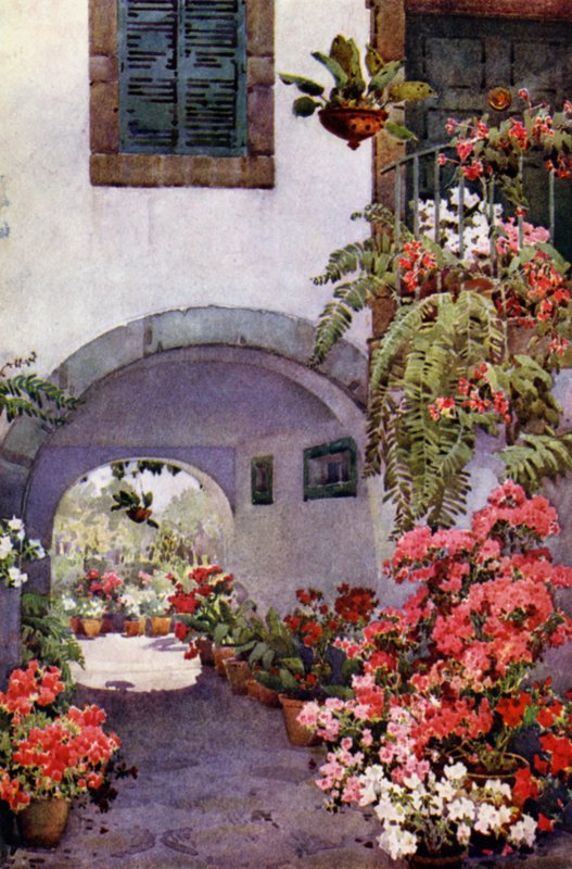 Azaleas in a Portuguese Garden by Ella Du Cane