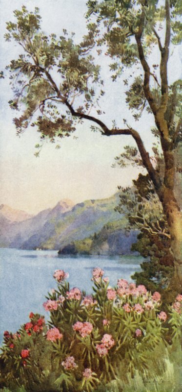 Lago di Lecco, Lago di Como by Ella Du Cane