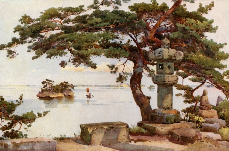 Pine-tree at Matsushima by Ella Du Cane
