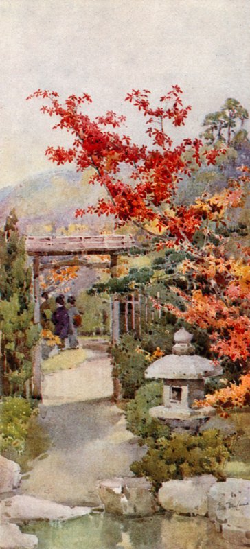 The Scarlet Maple by Ella Du Cane