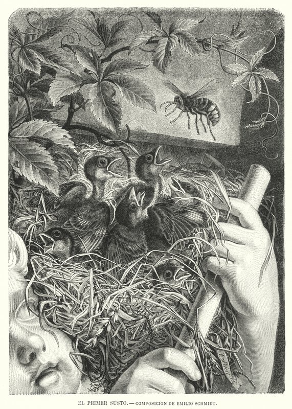 The First Scare by Emil (after) Schmidt