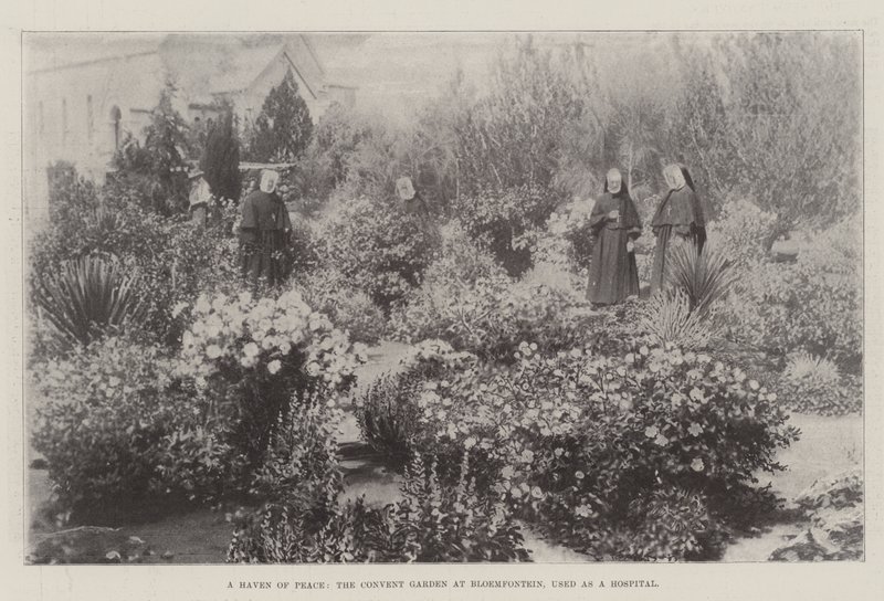 A Haven of Peace, the Convent Garden at Bloemfontein, used as a Hospital by English Photographer