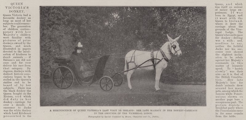 A Reminiscence of Queen Victoria