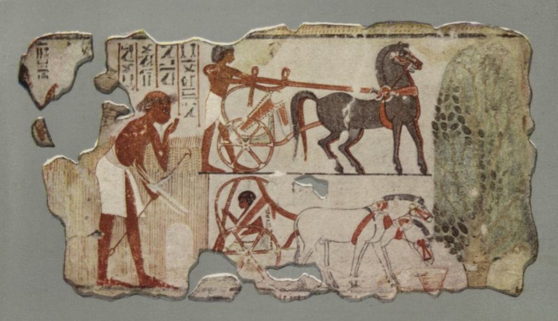 A Charioteer About to Mount His Chariot by English Photographer