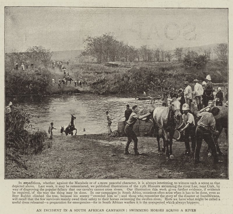 An Incident in a South African Campaign, swimming Horses across a River by English Photographer