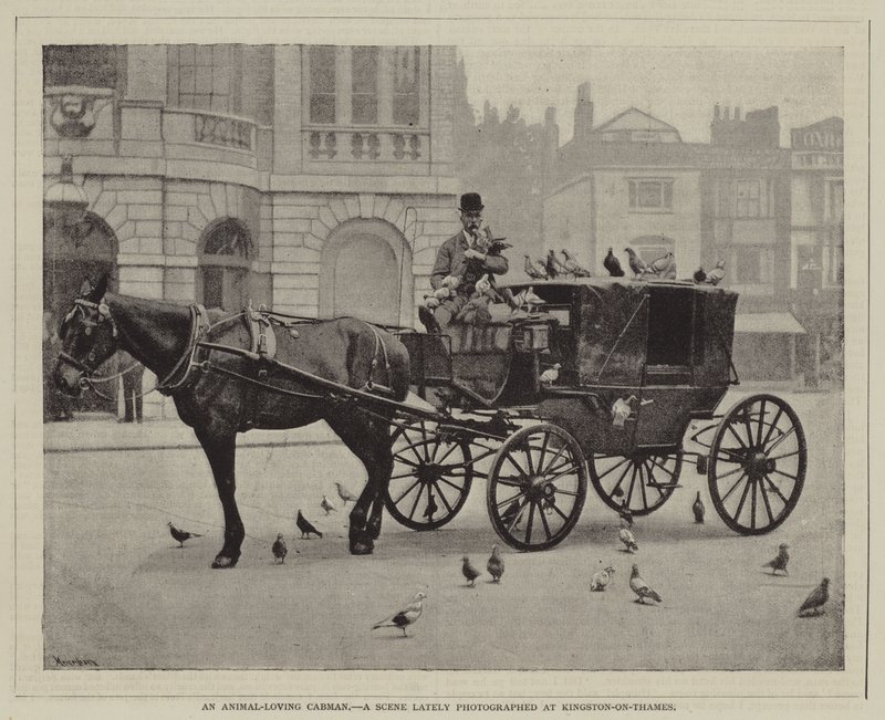 An animal-loving cabman, A scene lately photographed at Kingston-on-Thames by English Photographer