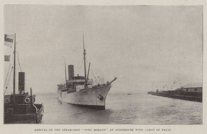 Arrival of the Steam-Ship Port Morant at Avonmouth with Cargo of Fruit by English Photographer