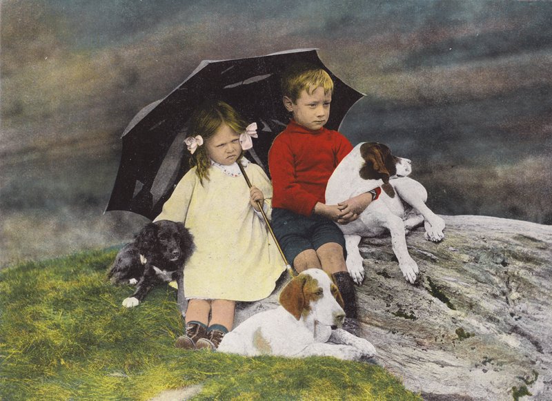 Boy and girl with three dogs sheltering under an umbrella by English Photographer