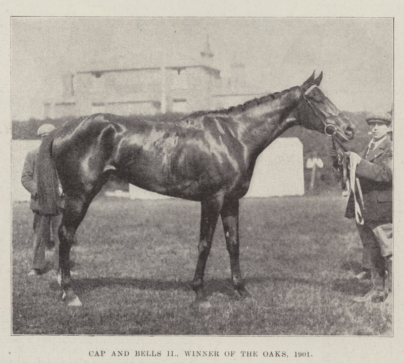 Cap and Bells II, Winner of the Oaks, 1901 by English Photographer