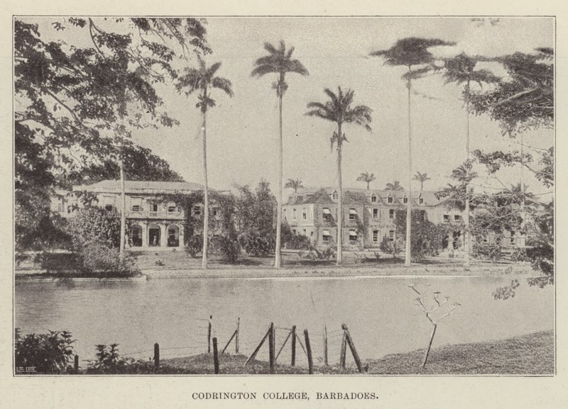 Codrington College, Barbados by English Photographer
