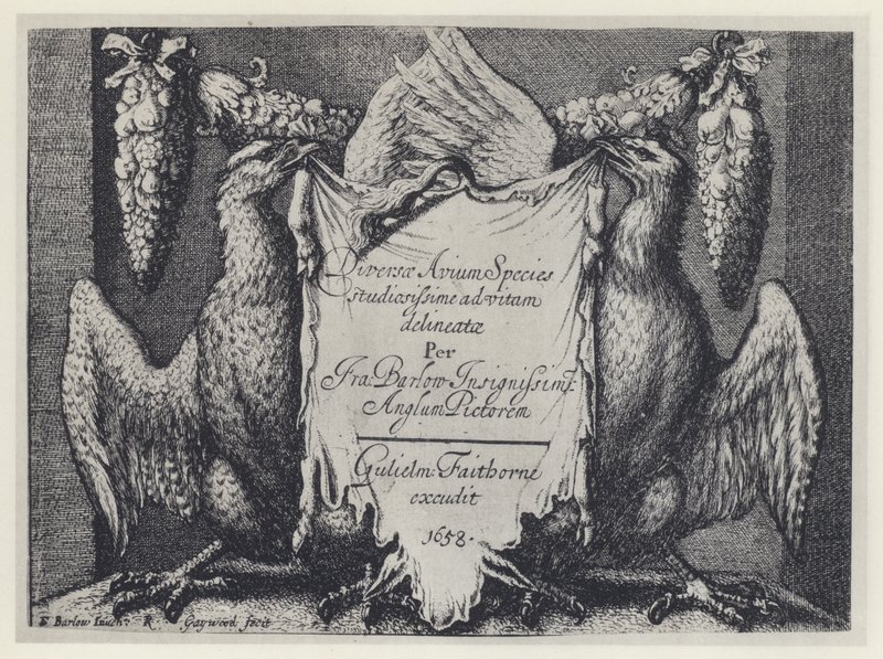 F Barlow, Diversae avium species, G Faithorne 1658 by English Photographer