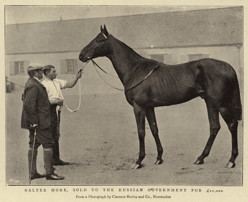 Galtee More, Sold to the Russian Government for £21,000 by English Photographer