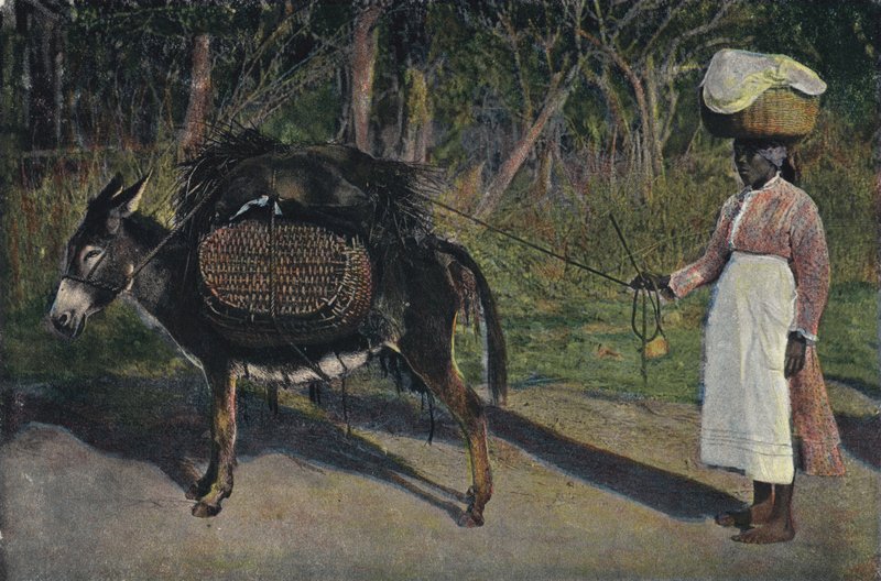 Going to Market, Jamaica by English Photographer