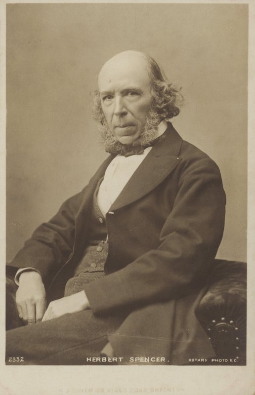 Herbert Spencer by English Photographer