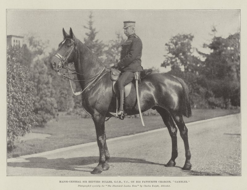 Major-General Sir Redvers Buller, GCB, VC, on his Favourite Charger, Gambler by English Photographer