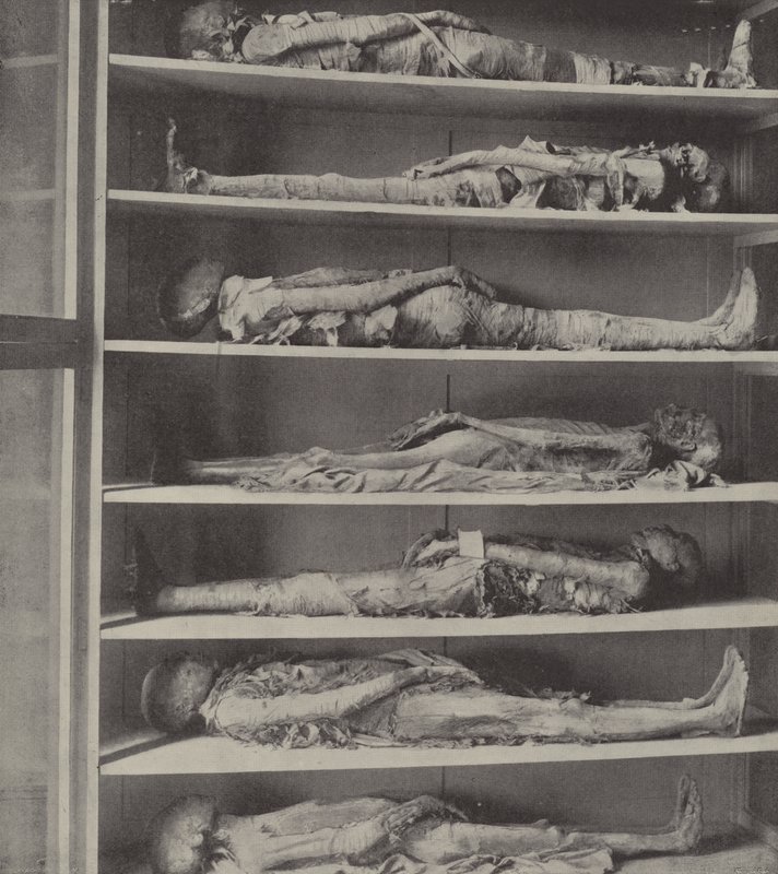 Mummies of priests, The bodies of priests embalmed before Aaron and his sons were appointed by English Photographer