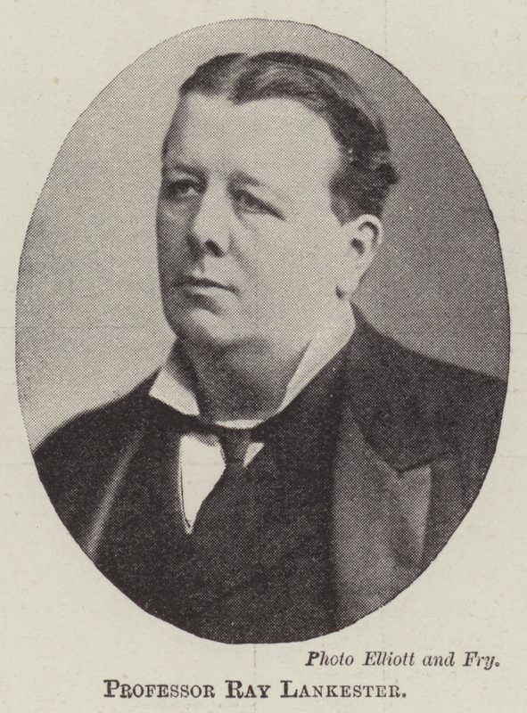 Professor Ray Lankester by English Photographer