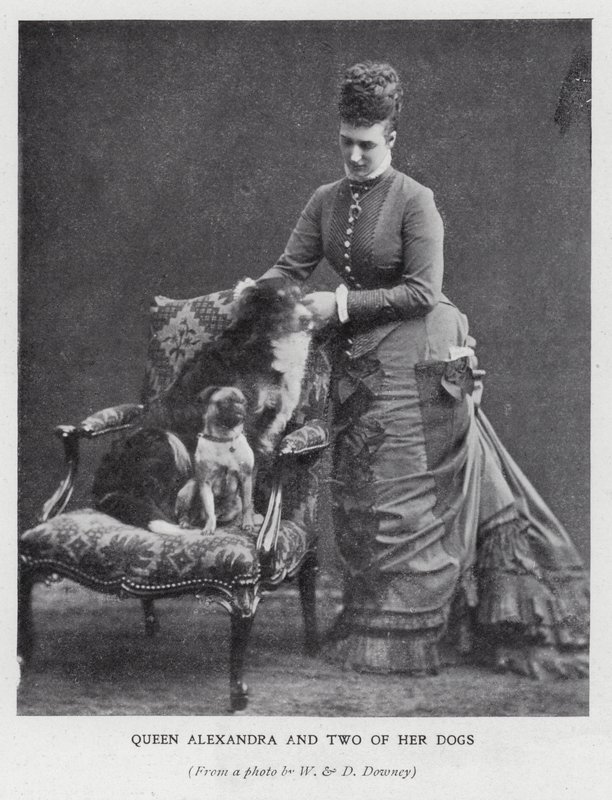 Queen Alexandra and two of her dogs by English Photographer