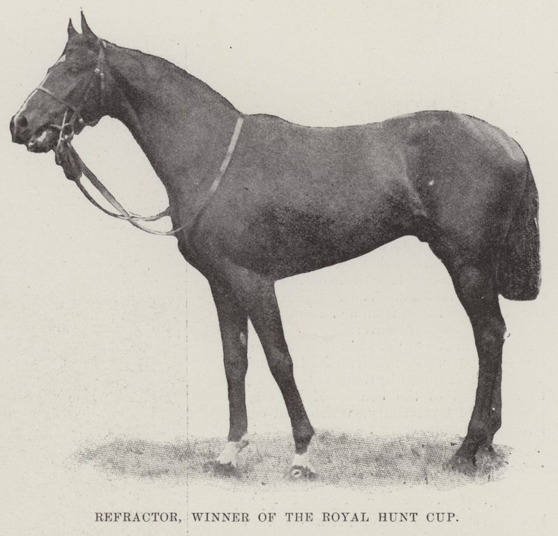Refractor, Winner of the Royal Hunt Cup by English Photographer