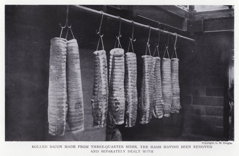 Rolled bacon made from three-quarter sides, the hams having been removed and separately dealt with by English Photographer