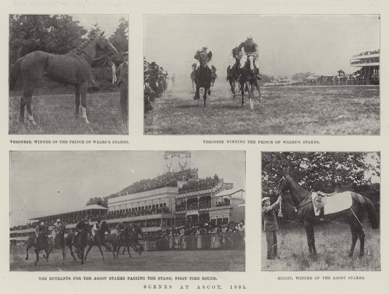 Scenes at Ascot, 1901 by English Photographer