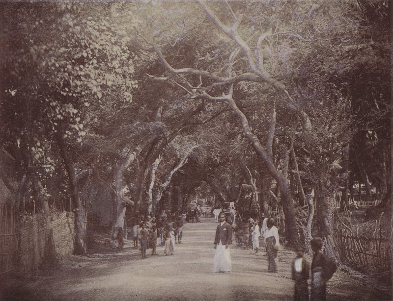 Skinners Road, Colombo by English Photographer