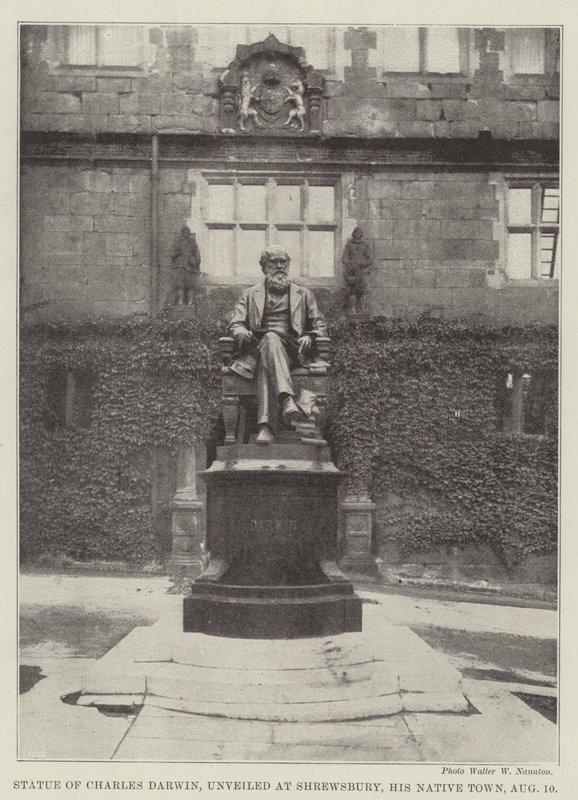Statue of Charles Darwin, Unveiled at Shrewsbury, His Native Town, 10 August by English Photographer