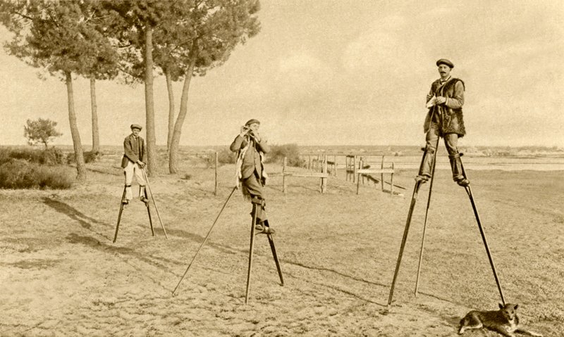 Stilts by English Photographer