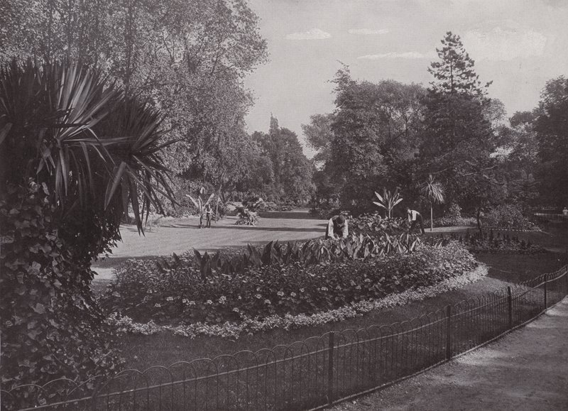 Sub-Tropical Gardens, Battersea Park by English Photographer