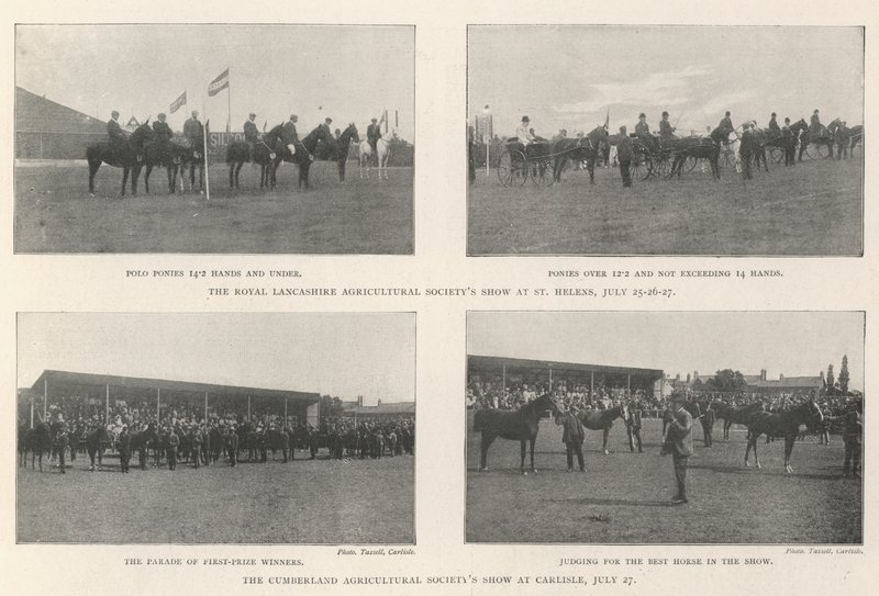 The Agricultural Society