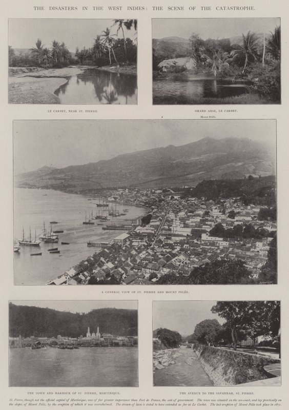 The Disasters in the West Indies, the Scene of the Catastrophe by English Photographer