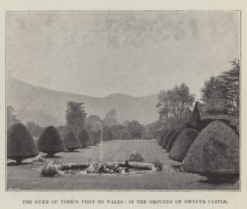The Duke of York