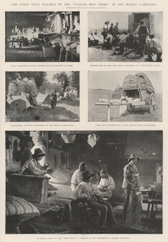 The Fight with Malaria by the Italian Red Cross in the Roman Campagna by English Photographer