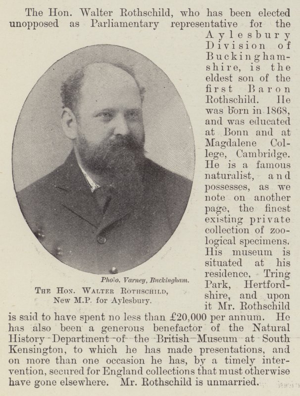 The Honourable Walter Rothschild, New MP for Aylesbury by English Photographer