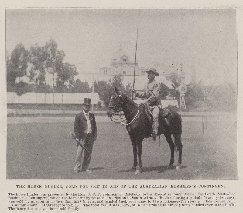 The Horse Bugler, sold for £2627 in Aid of the Australian Bushmen