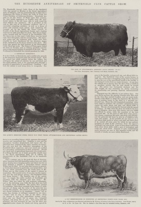 The Hundredth Anniversary of Smithfield Club Cattle Show by English Photographer