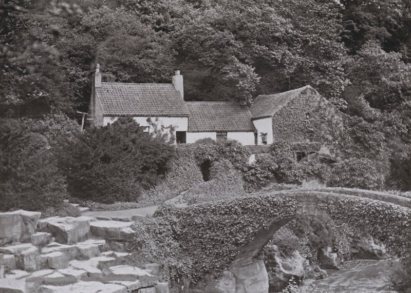 The Old Mill, Jesmond Dene by English Photographer