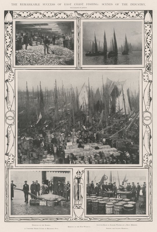 The Remarkable Success of East Coast Fishing, Scenes of the Industry by English Photographer