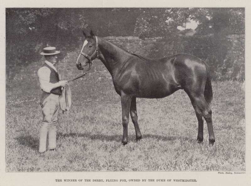 The Winner of the Derby, Flying Fox, Owned by the Duke of Westminster by English Photographer