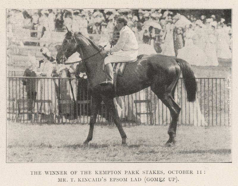 The Winner of the Kempton Park Stakes, 11 October, Mr T Kincaids Epsom Lad (Gomez up) by English Photographer