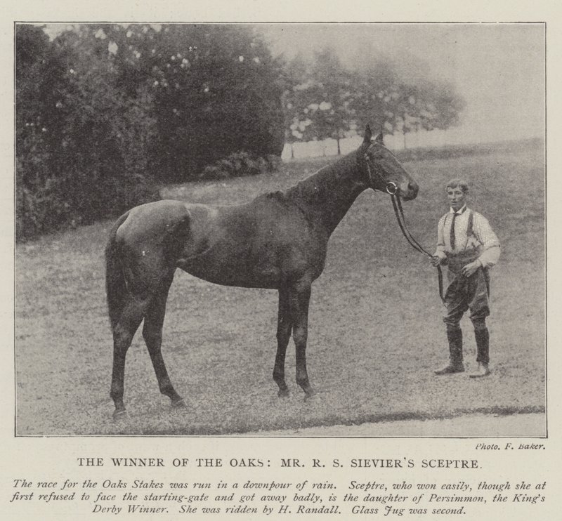 The Winner of the Oaks, Mr R S Sievier