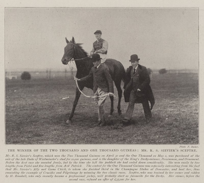 The Winner of the Two Thousand and One Thousand Guineas, Mr R S Sieviers Sceptre by English Photographer