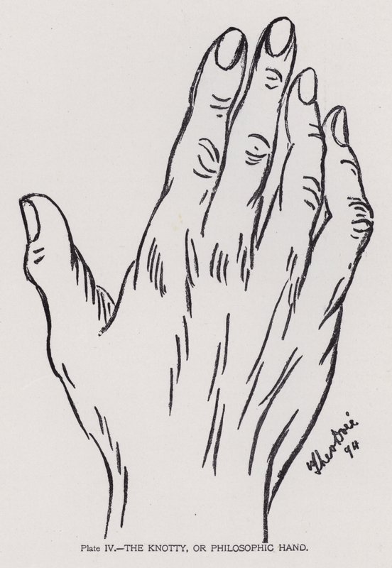 The knotty, or philosophic hand by English Photographer