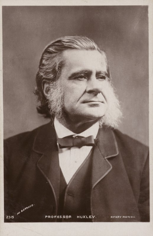 Thomas Henry Huxley (1825-1895), English biologist by English Photographer