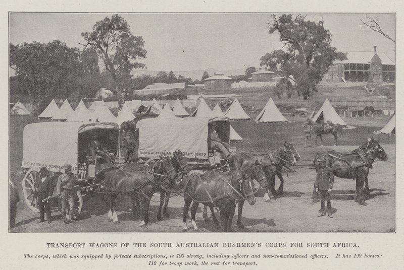 Transport Wagons of the South Australian Bushmen