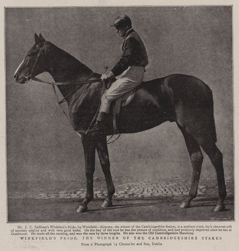 Winkfields Pride, the Winner of the Cambridgeshire Stakes by English Photographer