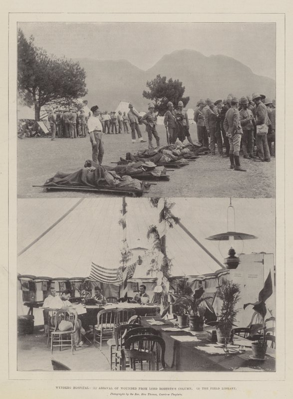 Wynberg Hospital, Arrival of Wounded from Lord Roberts