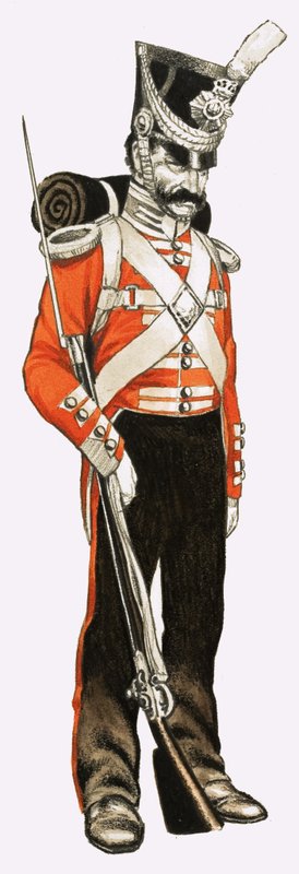96th Foot Private 1836 by English School