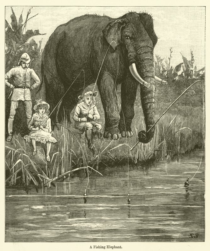 A Fishing Elephant by English School